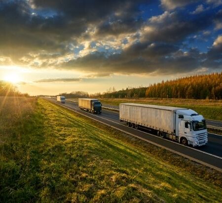 Indagine sui trasporti internazionali di merci della Banca d'Italia – 2025